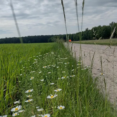 Zielone Zacisze Wierzchucino