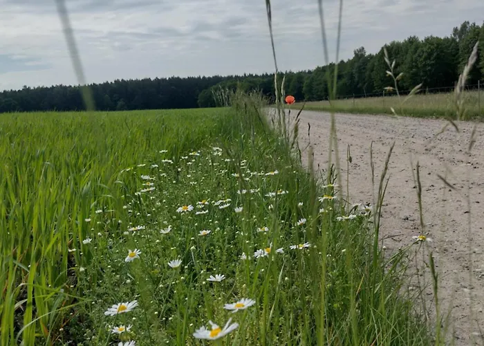 Zielone Zacisze Wierzchucino